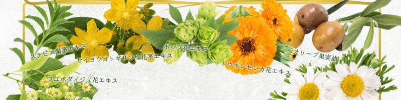 ��P��-SEKKI REI-���T�C�g